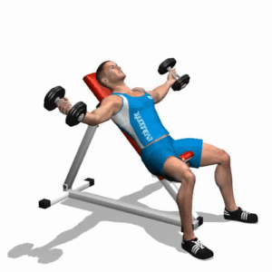 Incline Dumbbell Flies