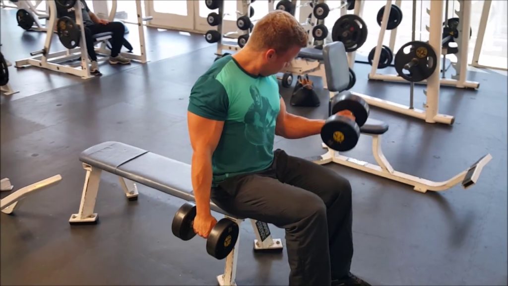 Seated Alternating Dumbbell Curl