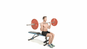 Seated Barbell Shoulder Press