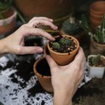 Why Gardening Is Good For The Environment