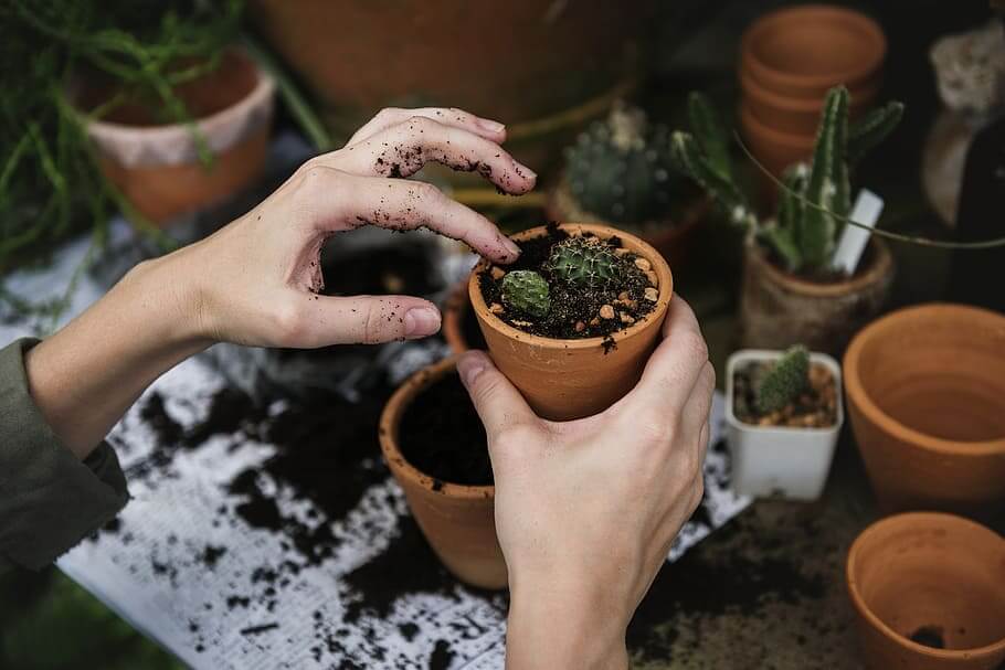 Why Gardening Is Good For The Environment