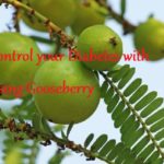 Control your Diabetes with Using Gooseberry - LearningJoan