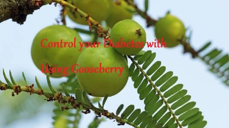 Control your Diabetes with Using Gooseberry - LearningJoan