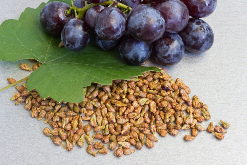 Grape Seed Extracts Treat Edema