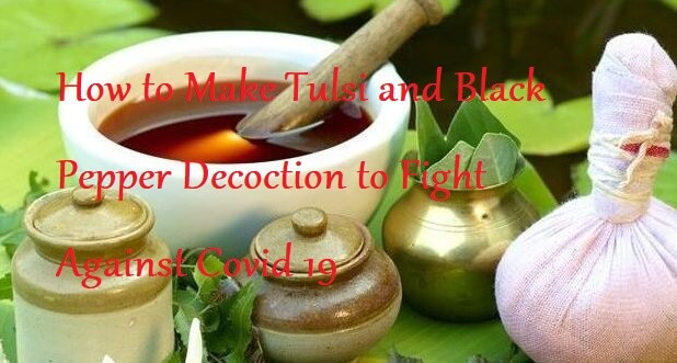 How to Make Tulsi and Black Pepper Decoction to Fight Against Covid 19 - Learningjoan