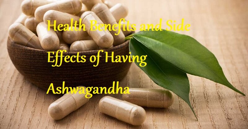 Health Benefits and Side Effects of Having Ashwagandha - LearningJoan