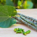Health Benefits of Giloy & 3 Ways to Use It - LearningJoan