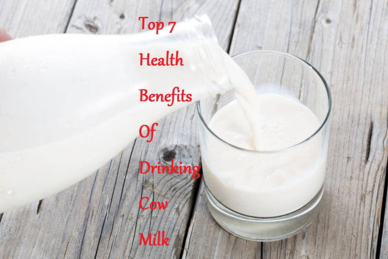 Top 7 Health Benefits Of Drinking Cow Milk - LearningJoan