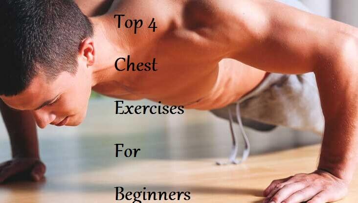 Top 4 Chest Exercises For Beginners - LearningJoan