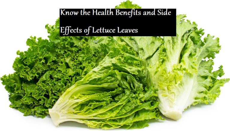 health benefits of lettuce leaves