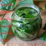 Know the Health Benefits of Bay Leaf and Side Effects - LearningJoan