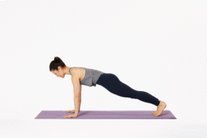 Plank Leg Lifts