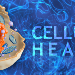 Cellular Health