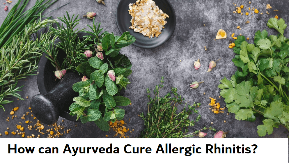 How can Ayurveda Cure Allergic Rhinitis? - LearningJoan