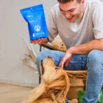 FAB CBD Dog Treats: Safety, Efficacy, And What You Need to Know
