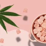 Why Are CBD Gummies a Perfect Gift for Your Friends?