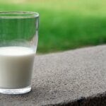 Delicious Milk Alternatives for Tea: What to Choose?