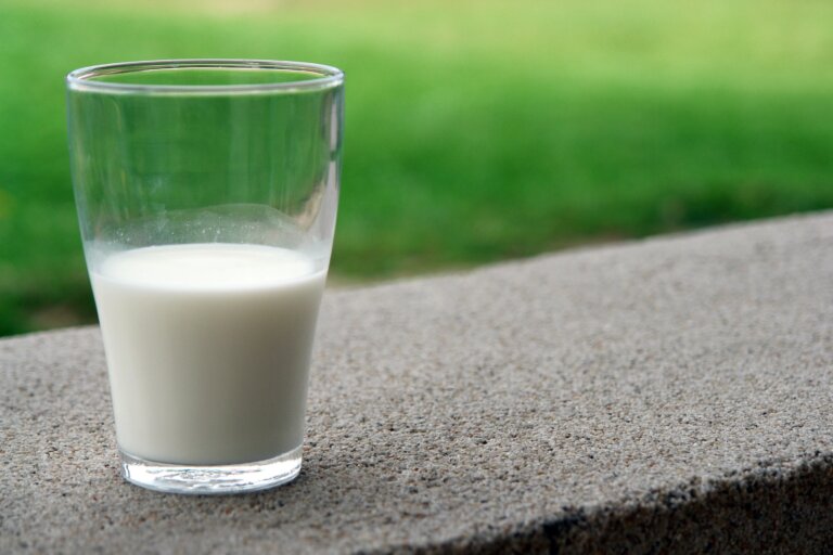 Delicious Milk Alternatives for Tea: What to Choose?