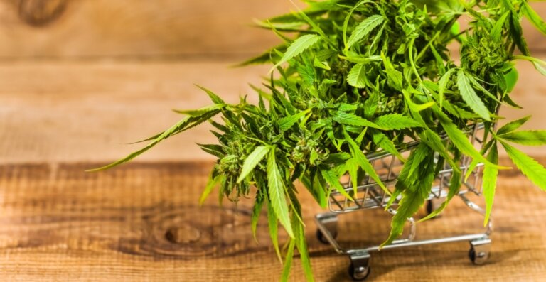 How to Get Marijuana Delivery at Your Doorstep in Vancouver?