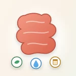 Gut cleanse illustration: a healthy intestine with icons for fiber, water and fermented foods