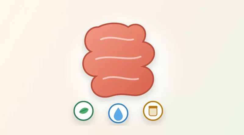 Gut cleanse illustration: a healthy intestine with icons for fiber, water and fermented foods