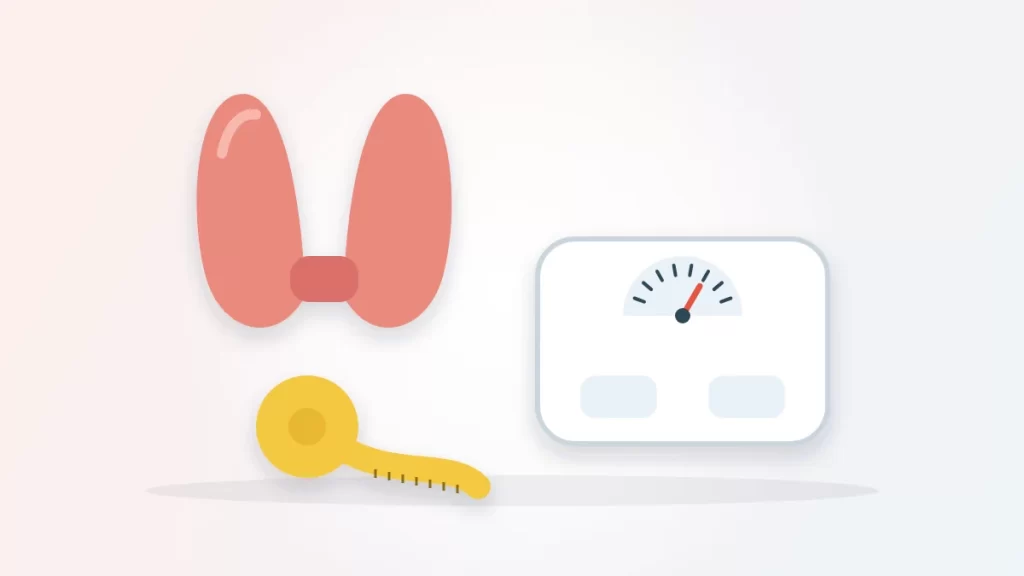 Can thyroid cause weight loss illustration: a butterfly-shaped thyroid gland beside a bathroom scale and a measuring tape