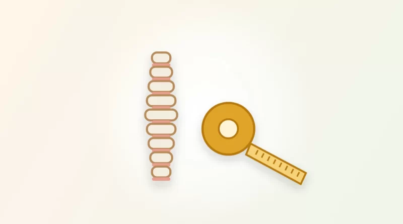 Illustration of a human spine beside a measuring tape