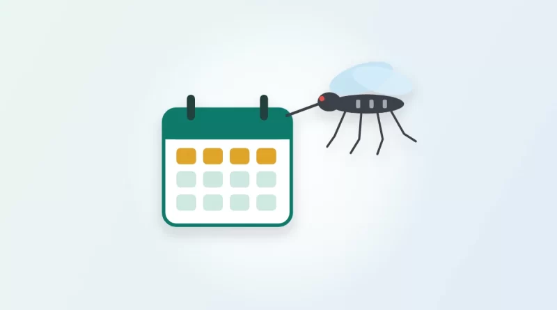 Illustration of a calendar beside a mosquito, for an article on how long dengue fever lasts