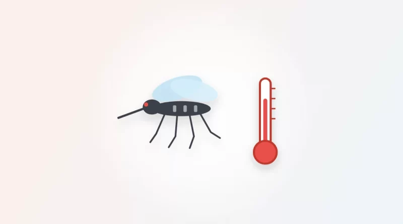 Illustration of a mosquito beside a thermometer, representing dengue fever symptoms
